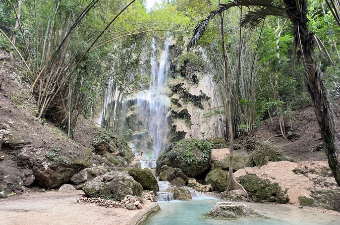 Oslob Whale Shark Watching + Kawasan Falls Day Tour - Comfort, Gear, and Small Choices That Matter