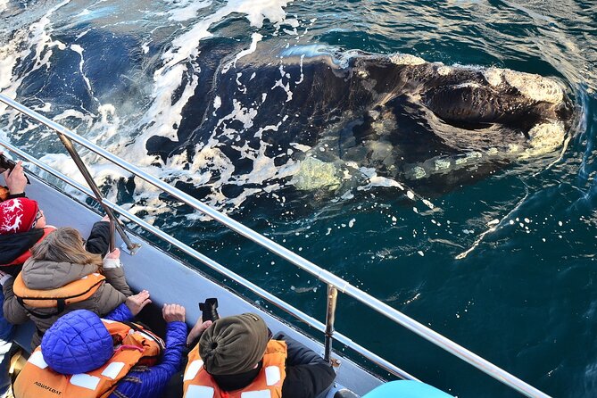 Peninsula Valdes Tour with Optional Whale Watching - Centro De Visitantes Istmo Ameghino: geology, birds, and instant orientation