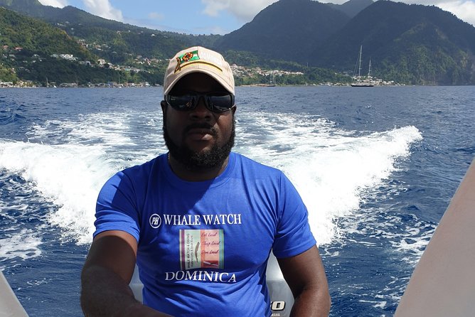 PH Whale Watch & Dolphin Cruise in Dominica - What Happens on the Water: The 3-Hour Cruise Flow