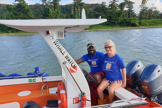 PH Whale Watch & Dolphin Cruise in Dominica - Sperm Whales, Dolphins, and That Up-Close Feeling (When It Happens)