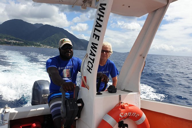 PH Whale Watch & Dolphin Cruise in Dominica - Weather, Seasickness, and Staying Comfortable