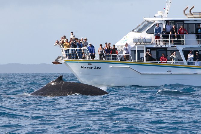 Phillip Island Whale Watching Tour - Morning Tea to Whale Scan: Starting Point and Timing in Rhyll