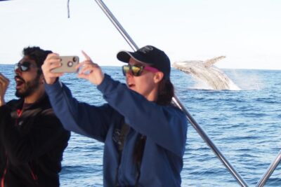 Port Stephens 3 Hour Whale and Dolphin Watch Cruise - What You Might See: Humpback Whales, Dolphins, Seabirds, and Fur Seals
