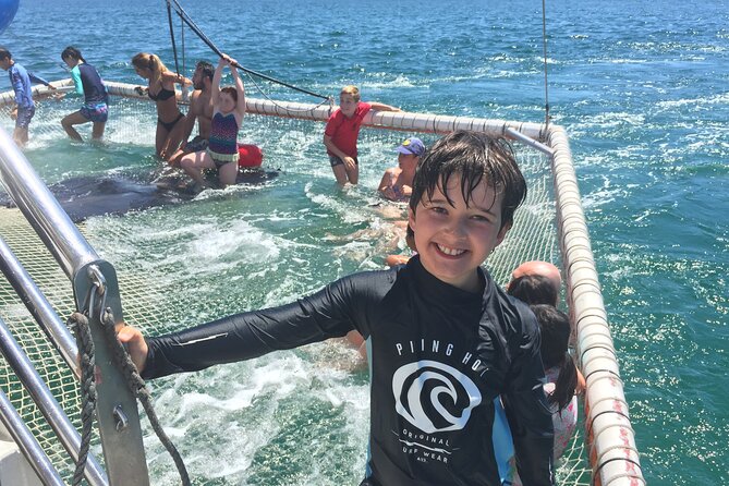 Port Stephens Private Tour From Sydney, with Dolphin/ Whale Cruise Options - Nelson Bay dolphin cruise options: what to expect and how to plan for it