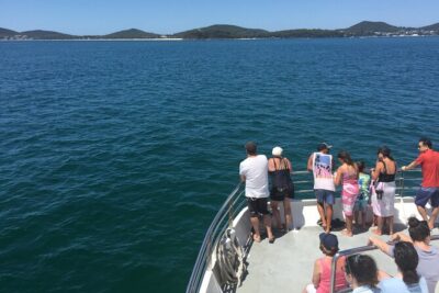 Port Stephens Private Tour From Sydney, with Dolphin/ Whale Cruise Options - Your private guide and minivan: the calm advantage