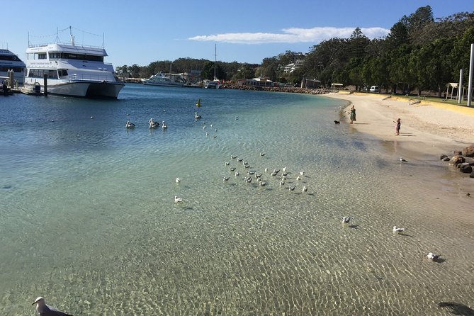 Port Stephens Private Tour From Sydney, with Dolphin/ Whale Cruise Options - Lunch at Nelson Bay Bowling and Recreation Club: plan your food break