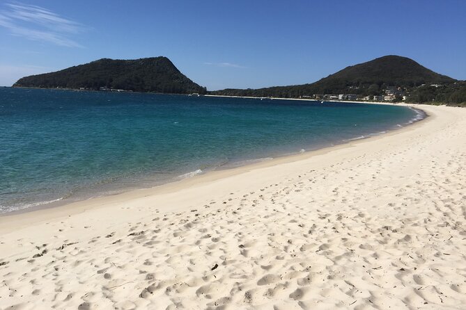 Port Stephens Private Tour From Sydney, with Dolphin/ Whale Cruise Options - Stockton Sand Dunes sandboarding: the activity that makes it feel like Port Stephens