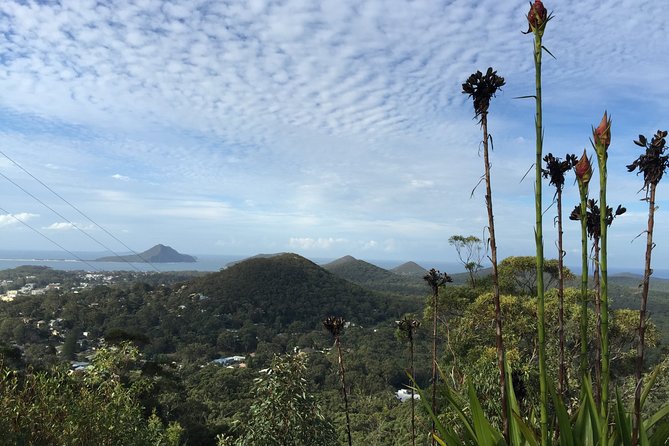 Port Stephens Private Tour From Sydney, with Dolphin/ Whale Cruise Options - Camel rides and whale watching: seasonal add-ons you should confirm