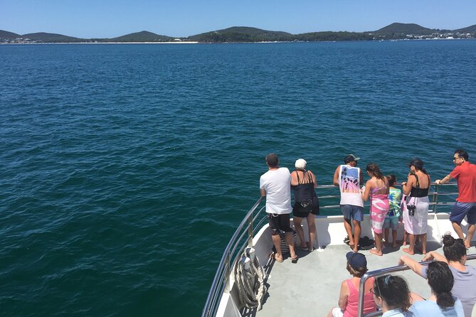 Port Stephens Private Tour From Sydney, with Dolphin/ Whale Cruise Options - Your private guide and minivan: the calm advantage