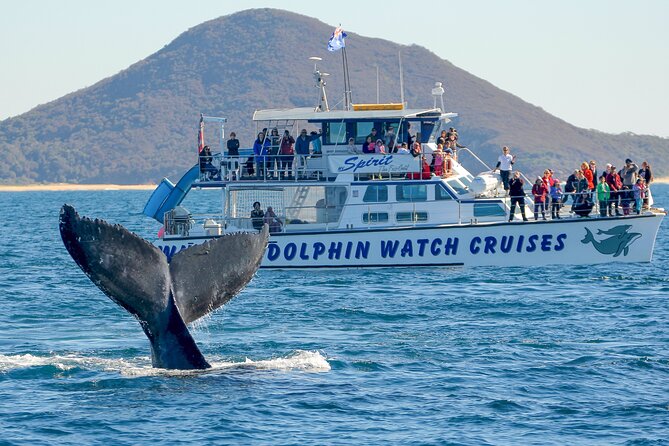 Port Stephens: Whale Watching Cruise - The boats you may sail on: Hinchinbrook Explorer vs MV Spirit