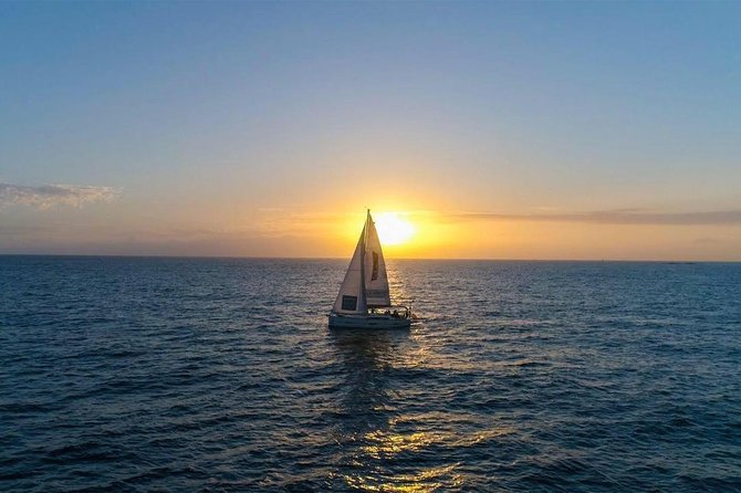 Premium All Inclusive Whale & Dolphin Watching Experience - A premium Tenerife whale and dolphin trip built for real sightings