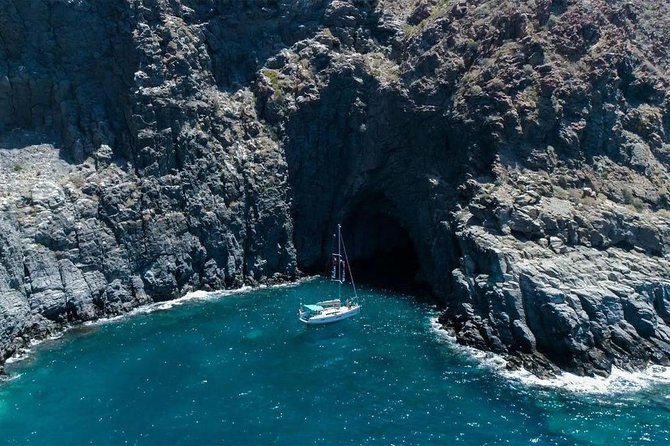 Premium All Inclusive Whale & Dolphin Watching Experience - Snorkeling stop: great bonus when conditions cooperate