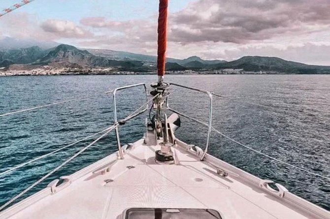 Premium All Inclusive Whale & Dolphin Watching Experience - Who this tour suits best