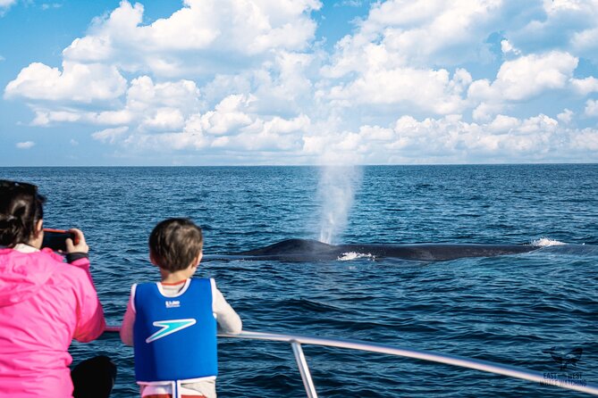 Private 2hr Supreme Whale/Dolphin Watching Tour, Newport Beach CA - Meeting Point Location and How to Keep the Day Stress-Free
