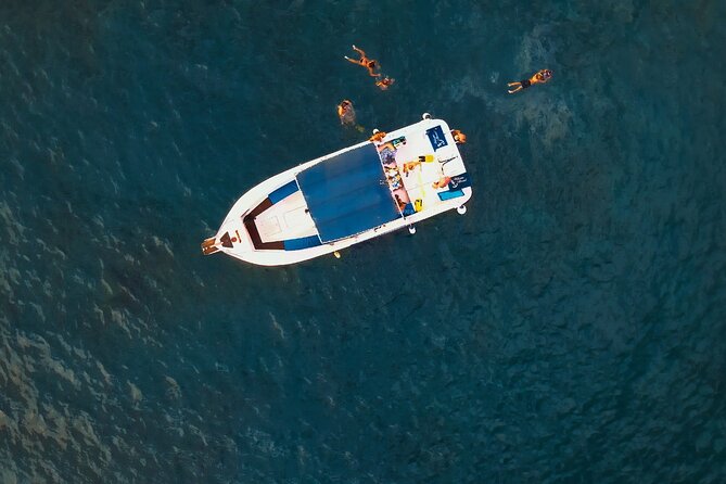 private charter 3 Hours Whale Encounter puerto colon adeje - Private charter value: why up to 15 can be worth it
