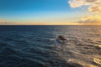 private charter 3 Hours Whale Encounter puerto colon adeje - The 3-hour whale search: pilot whales, dolphins, and a real spotting strategy