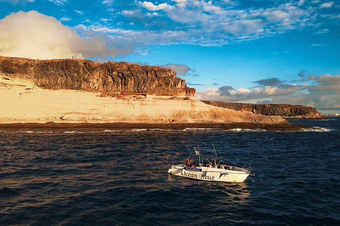private charter 3 Hours Whale Encounter puerto colon adeje - Where you start matters: meeting point and getting oriented