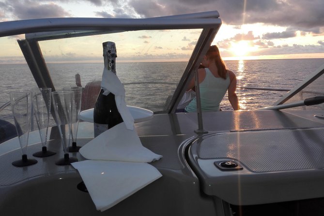Private Dolphin and Whale Watching Tour in Madeira - Key things that make this tour worth your time