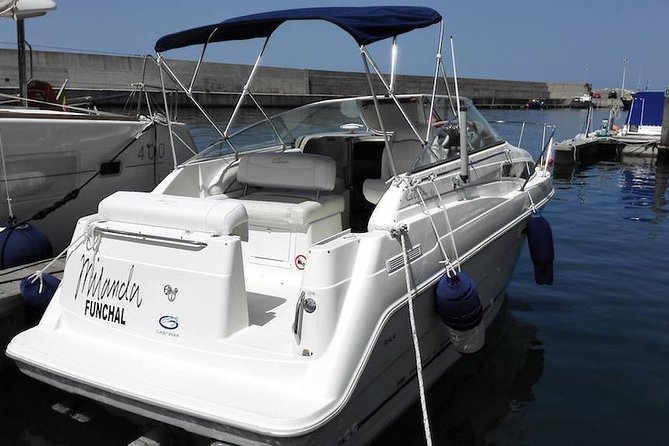 Private Dolphin and Whale Watching Tour in Madeira - Private yacht time out of Calheta (small group, big attention)
