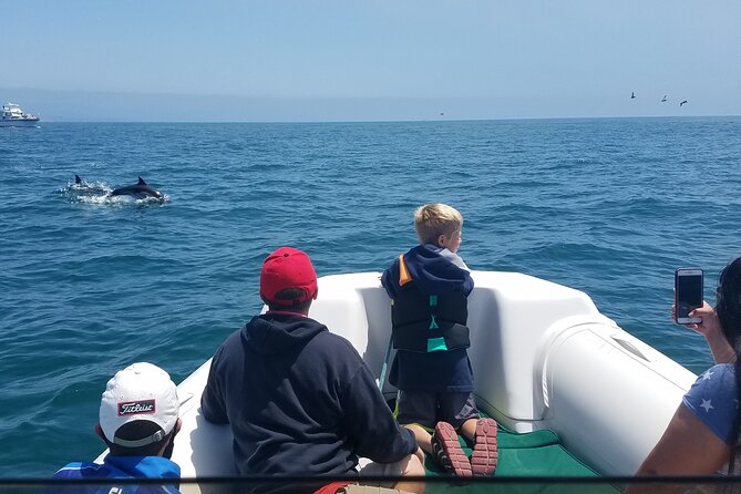 Private Dolphin and Whale Watching Tour in Newport Beach - Quick hits before you go