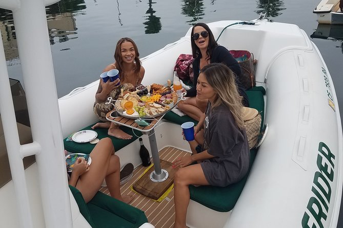 Private Dolphin and Whale Watching Tour in Newport Beach - The fast run: Newport to Laguna Beach to Dana Point
