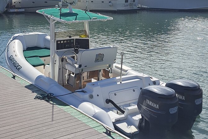 Private Dolphin and Whale Watching Tour in Newport Beach - Boat comfort and the reality of a small, fast vessel