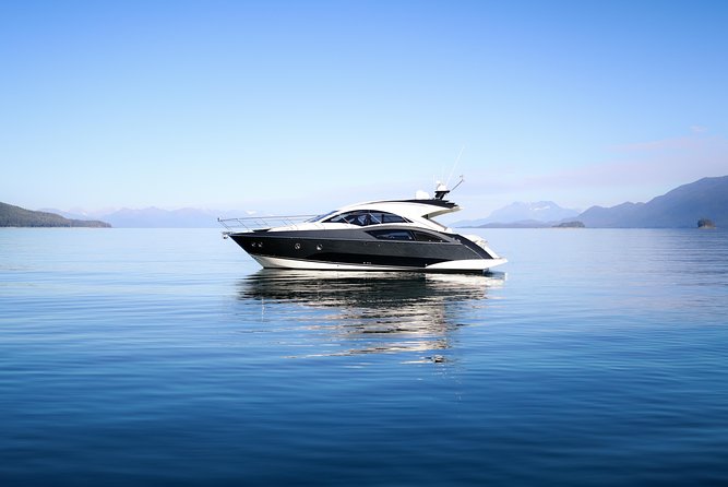 Private Luxury Whale Watch - Private luxury whale watch vs. the big-boat feeling