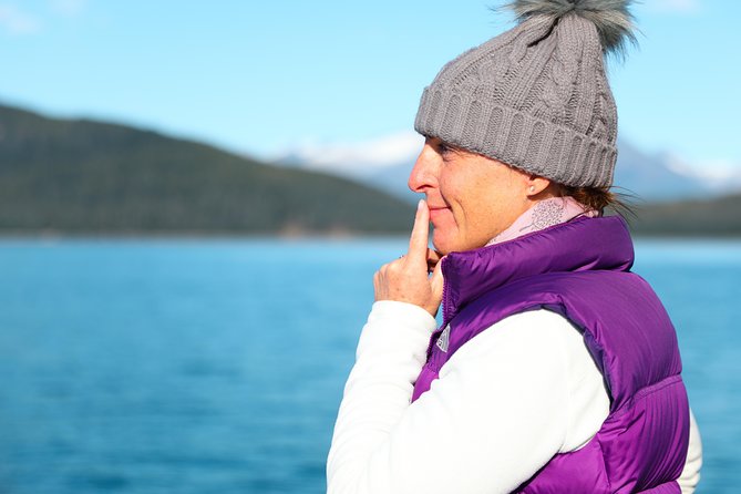Private Luxury Whale Watch - Inside Passage wildlife: what you’re most likely to see