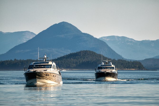 Private Luxury Whale Watch - Food and drinks: what’s included, and why it’s a real perk