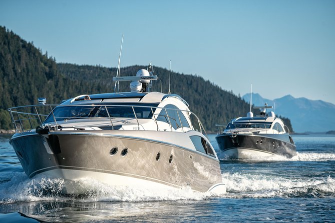 Private Luxury Whale Watch - A four-hour day that still leaves room for Juneau