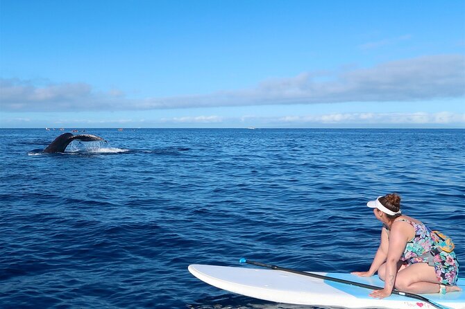 Private Paddleboard (SUP) Whale Watch: All Skill Levels Welcome - Mixed Skill Levels in a Private Setting (And Why It’s a Win)