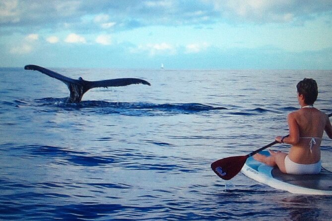 Private Paddleboard (SUP) Whale Watch: All Skill Levels Welcome - The Lesson Phase: How Beginners Can Actually Feel Ready