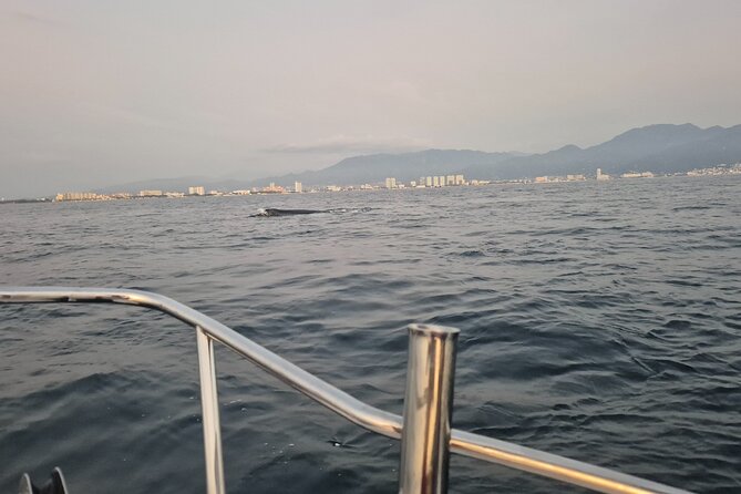 Private Tour 3 Hours of Whale Watching - Getting Oriented: Los Peines and the Bay of Banderas