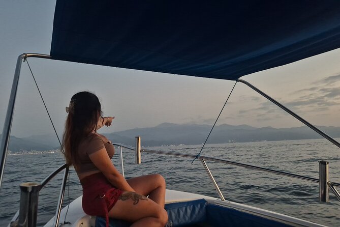Private Tour 3 Hours of Whale Watching - Your Private Boat Setup and Onboard Comfort