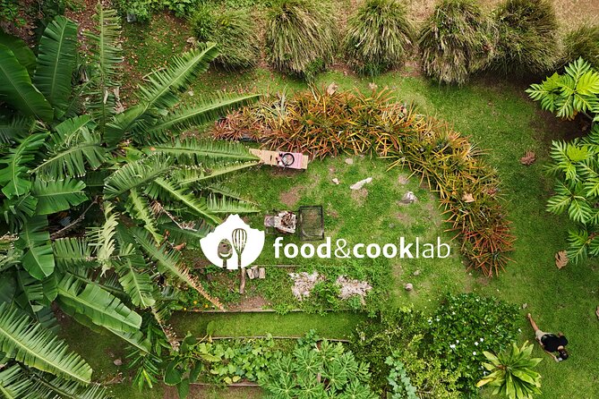 Private tour observing and swimming with humpback whales in Moorea - Rays, sharks, dolphins, turtles: what you’re doing before the whales