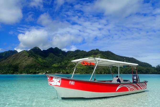 Private tour observing and swimming with humpback whales in Moorea - Swimming with humpbacks: what to expect and what to prepare for