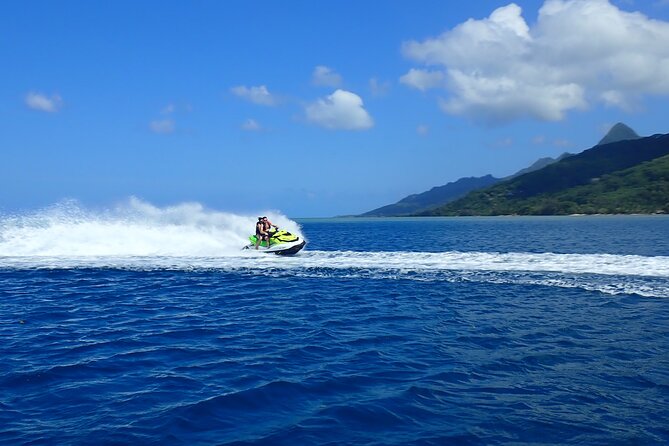 Private tour observing and swimming with humpback whales in Moorea - Price and value: is $1,640 worth it?