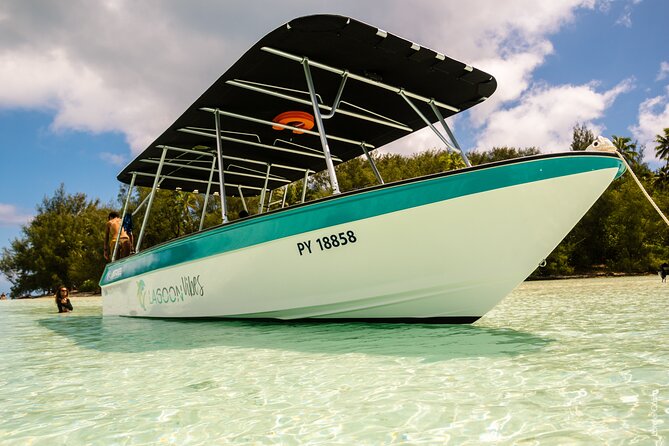 Private tour whale watching and snorkeling in Moorea - Snorkeling in Moorea: When it happens and what’s required