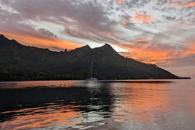 Private Tour Whale Watching Half Day Tour - Price for a private group: is it worth $1,396.84?