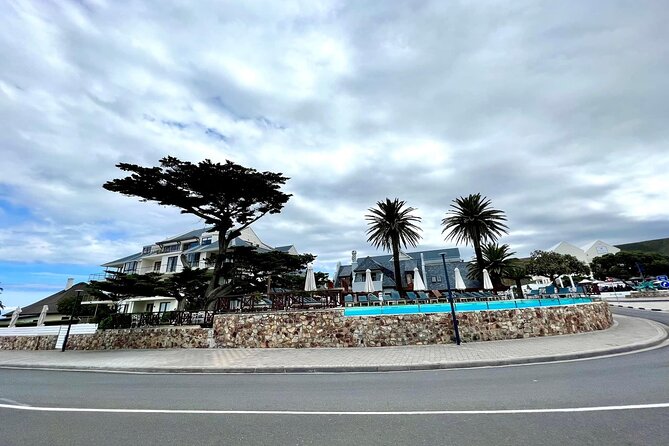Private Tour: Whale Watching Shared Boat Trip from Cape Town - Price and logistics: is $176 per person good value?