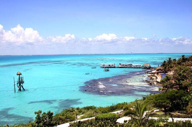 Private Whale Shark Tour from Cancun - Key Things I’d Focus On Before You Go