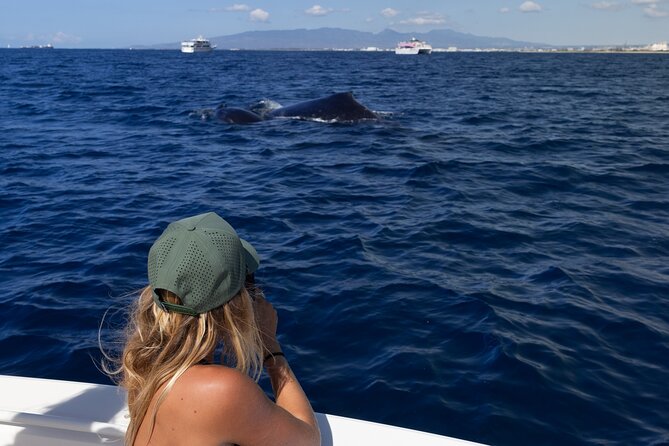 Private Whale Watching Activity: 6 passengers max - The guide factor: education that helps you understand what you’re seeing