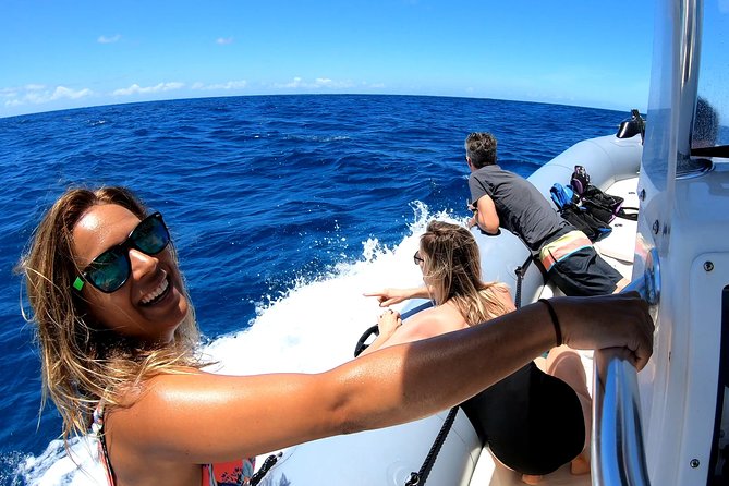 Private Whale Watching Adventure - Key things to know before you go