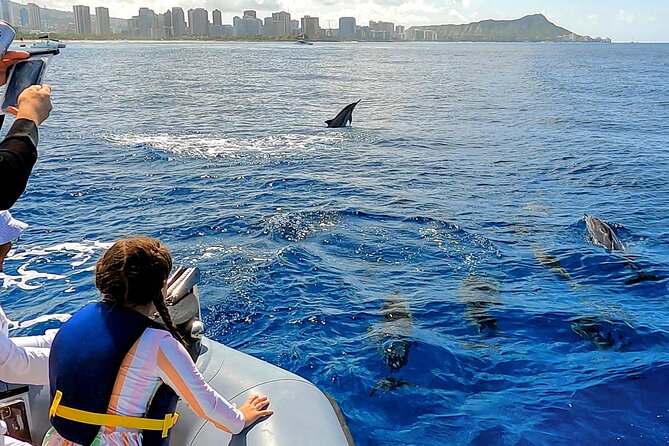 Private Whale Watching Adventure - Weather and Timing: The Part You Can’t Control