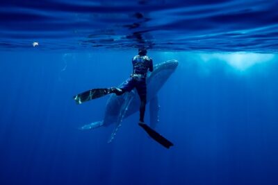 Private Whale Watching Adventure in Mo'orea - Plage de Tiahura: why the morning start helps