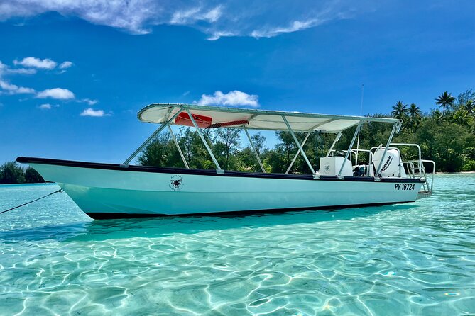 Private Whale Watching Adventure in Mo'orea - Snorkel gear and drinks: the included comfort items