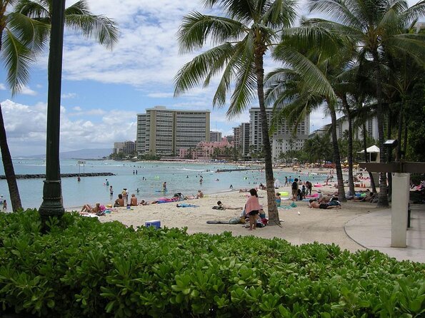 Private Whale Watching and Coastal Swimming Tour Honolulu - The charm of a private catamaran hunt (and not a cattle-boat)