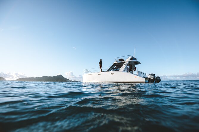Private Whale Watching and Coastal Swimming Tour Honolulu - Coastal swimming and snorkeling with sea turtles (what to expect)