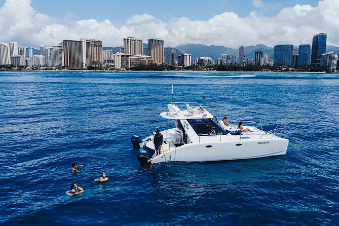 Private Whale Watching and Coastal Swimming Tour Honolulu - Who should book this tour—and who should think twice