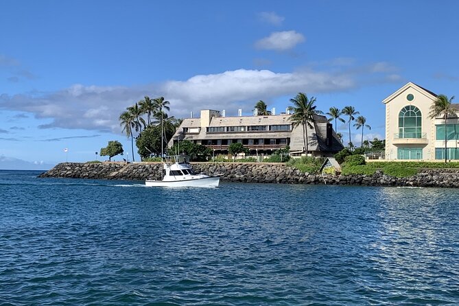 Private Whale Watching and Dolphin Excursion - Who should book this Honolulu whale and dolphin excursion